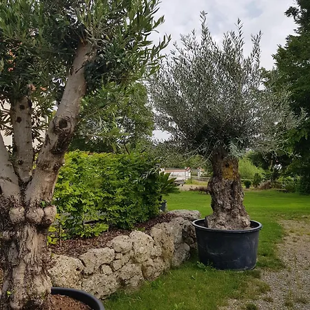 Ehemalige Schmiede -dormitorium- Daire *